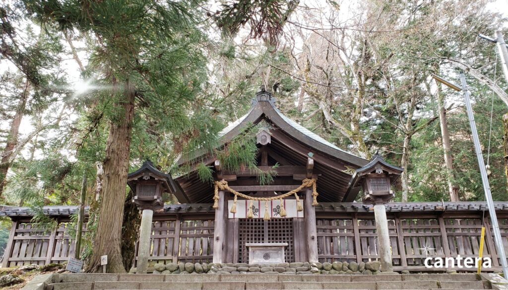 諏訪大社前宮本殿の風景。木々に囲まれた静かな境内にたたずむ神社の本殿。